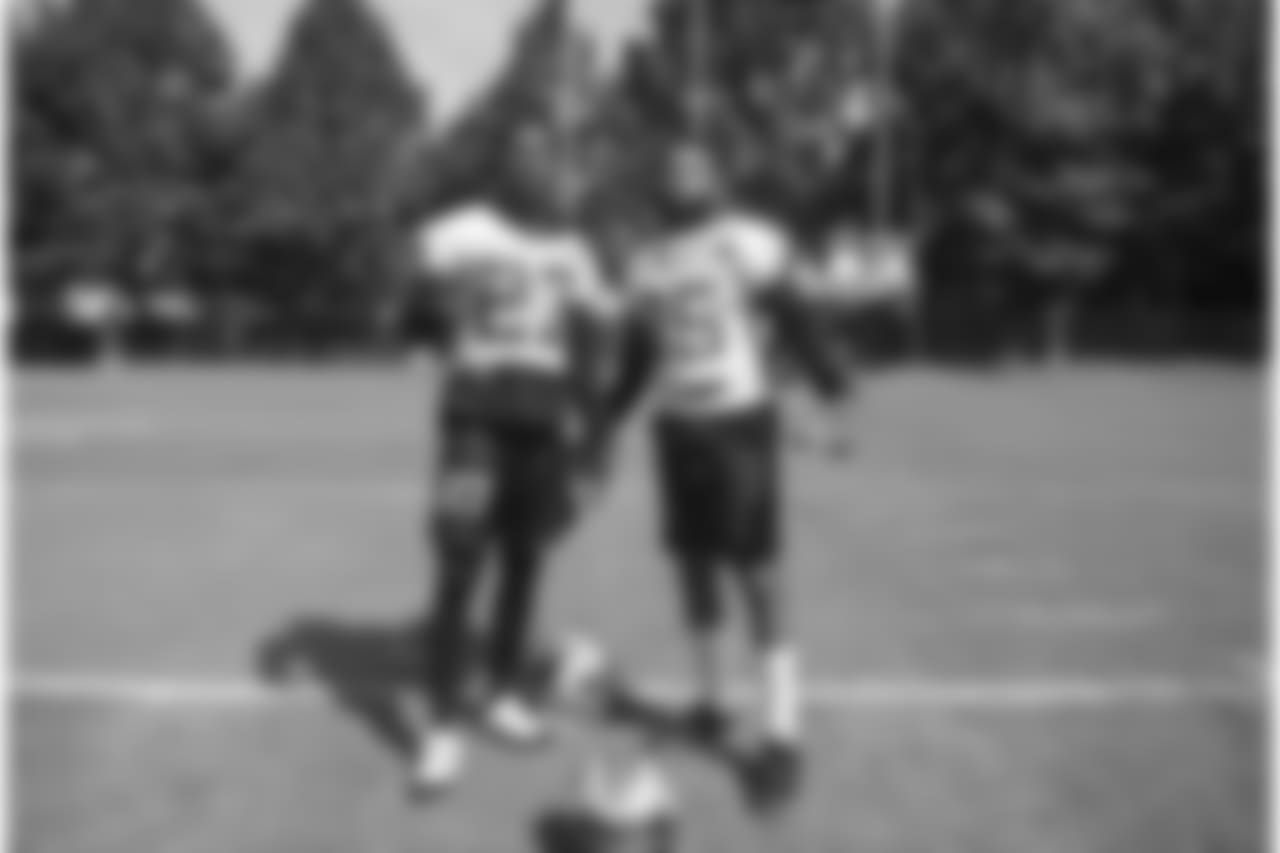 Day three of Panthers' mandatory Minicamp on Wednesday, June 13, 2018 at Bank of America Stadium in Charlotte, NC.