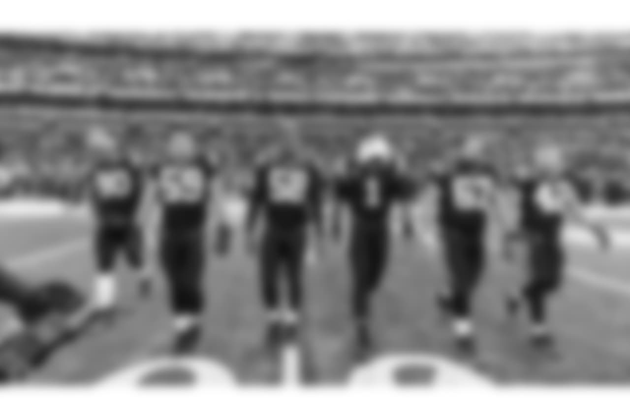 CARatCLE_2279