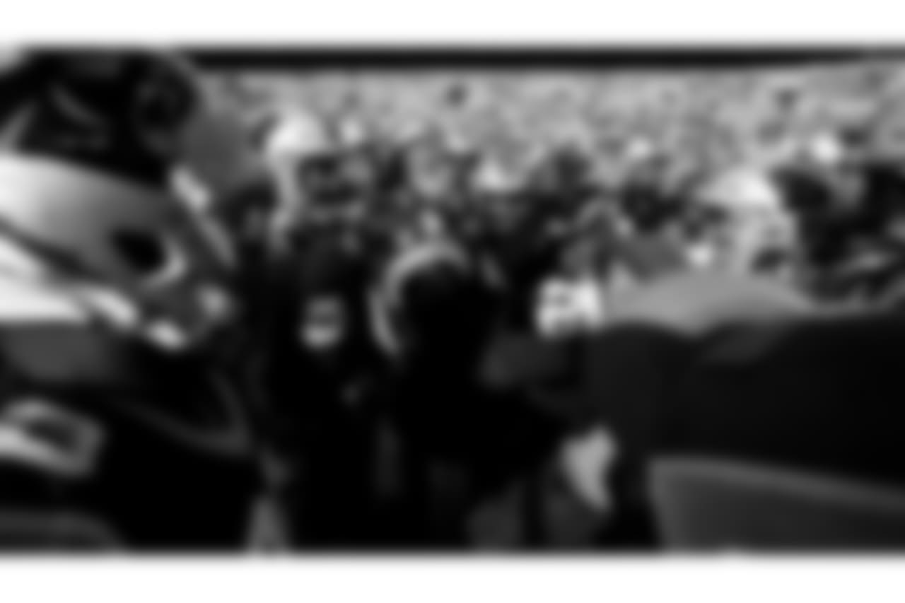 CARatCLE_1644