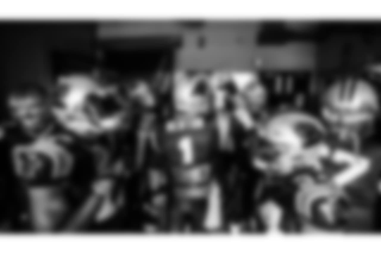 CARatCLE_1467
