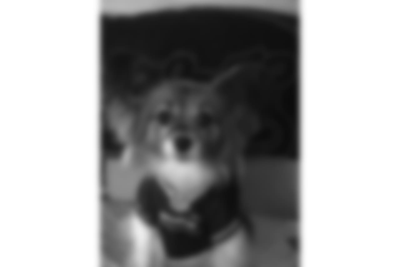 53270_8_306694849