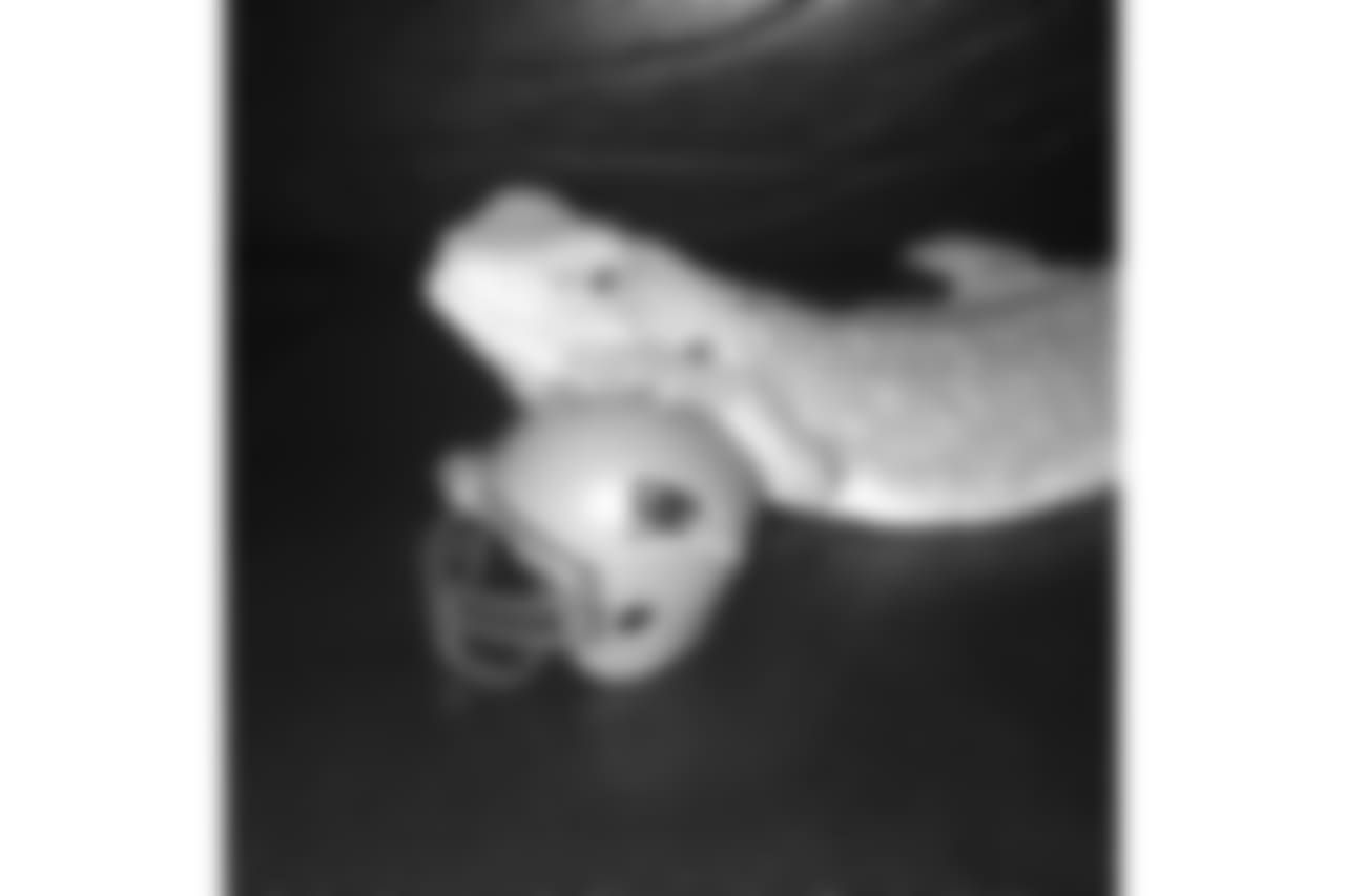 53270_8_659307420