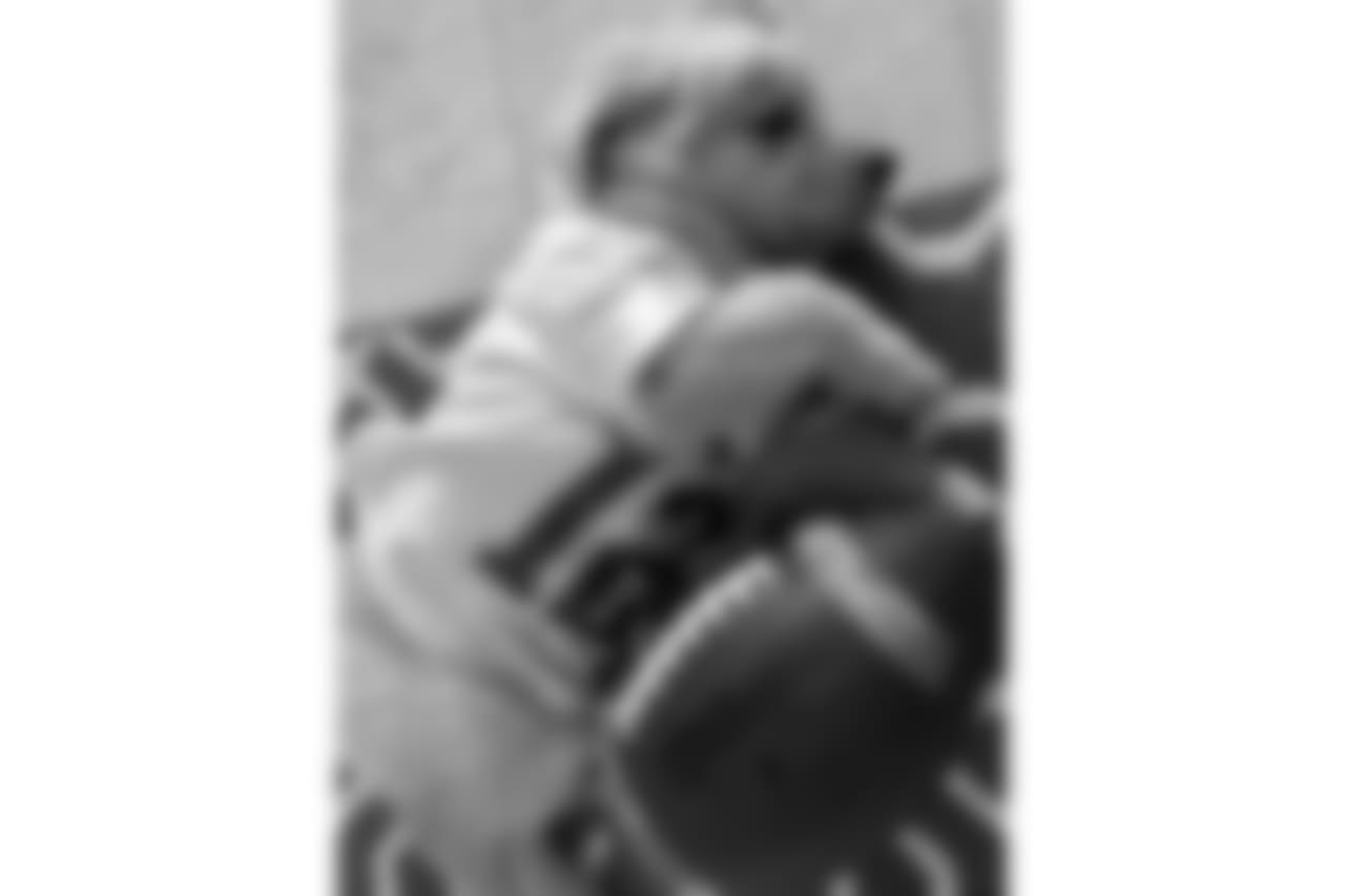 53270_8_232966407