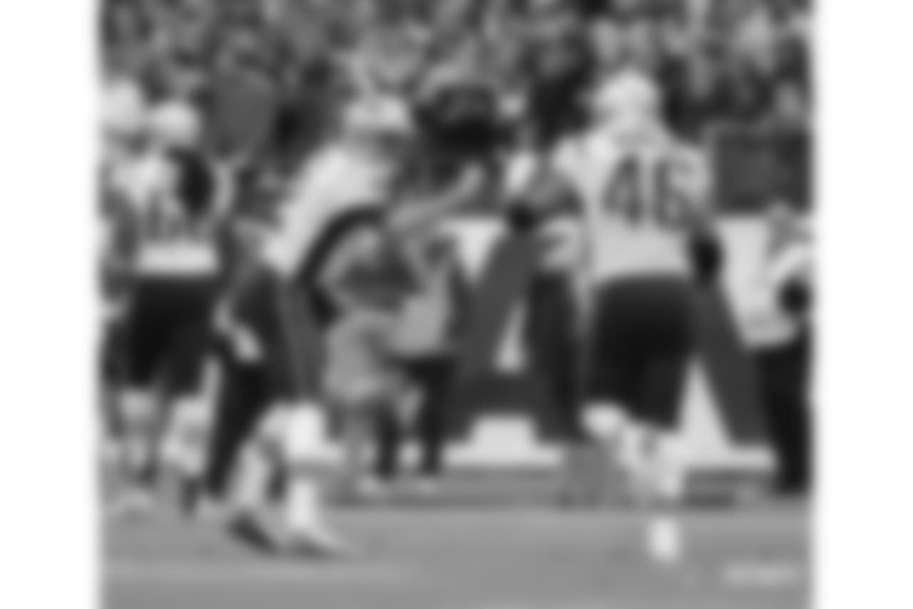 Brian Hoyer and James Develin