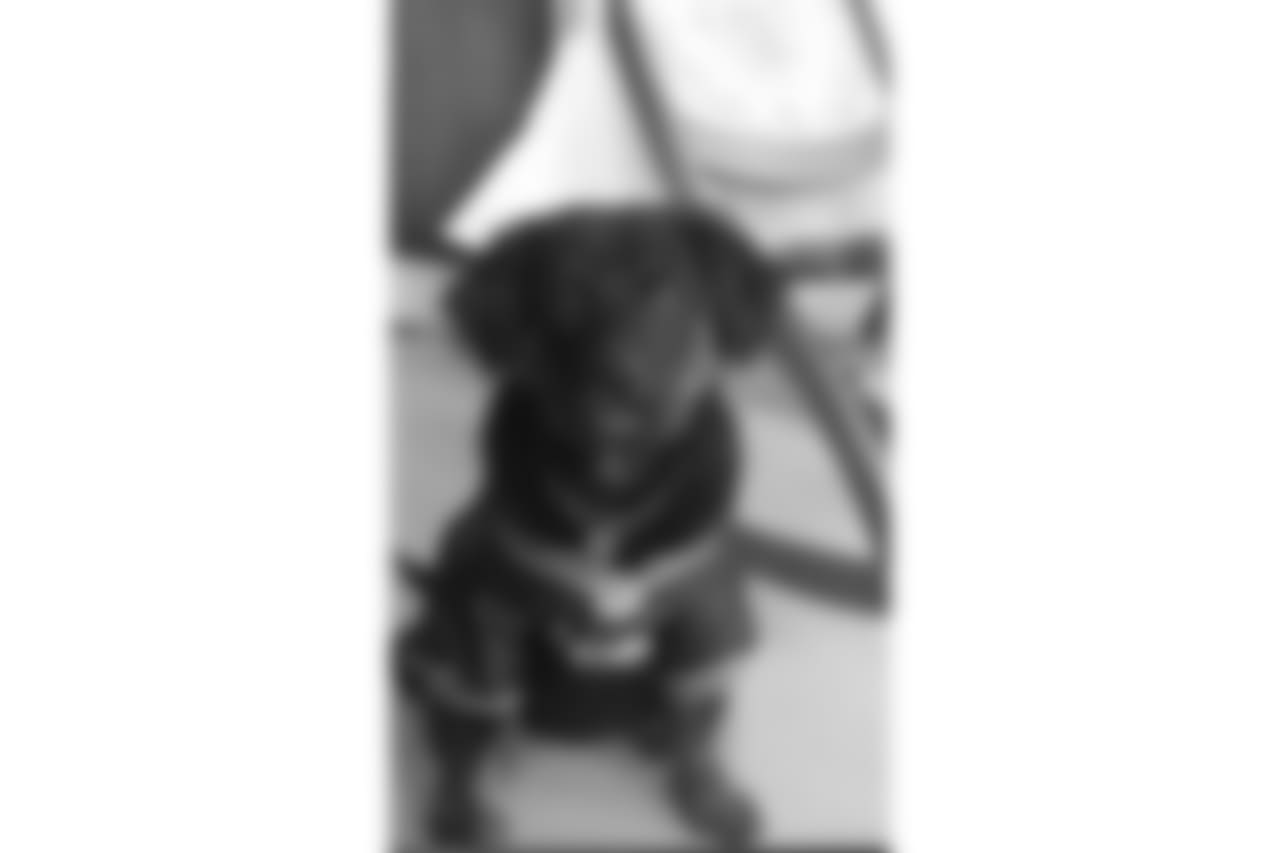 53270_8_3187725154