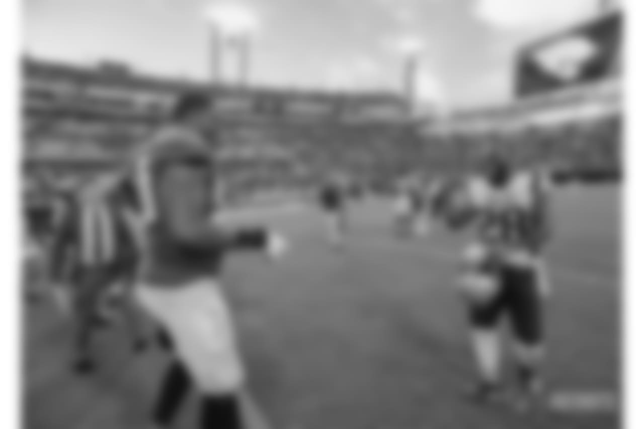 Calais Campbell and James White
