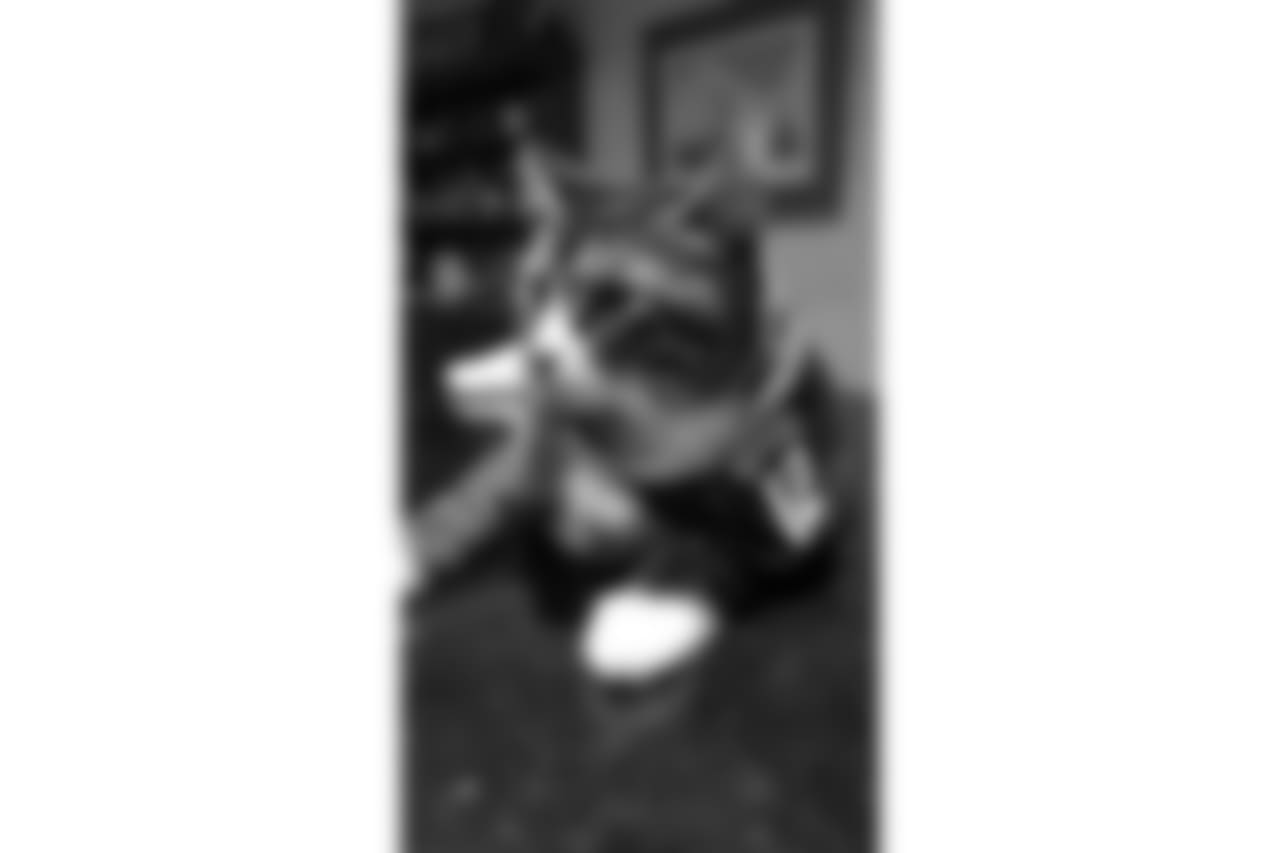 53270_8_1194725544