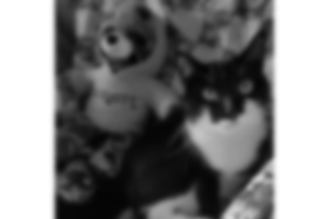 53270_8_3147279624