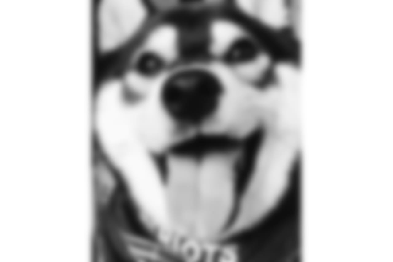 42935662_965320867001290_3725696255669134334_n