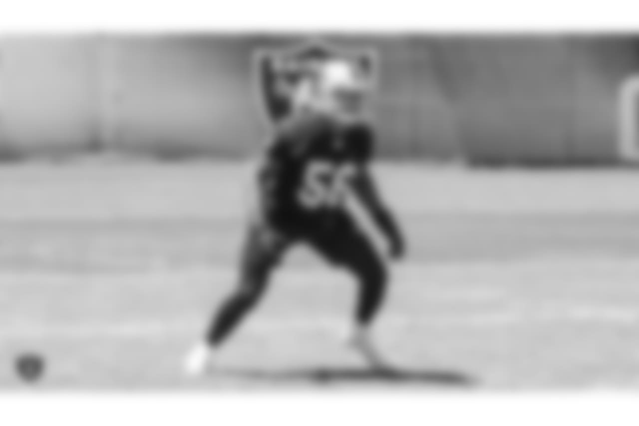 LB Derrick Johnson
