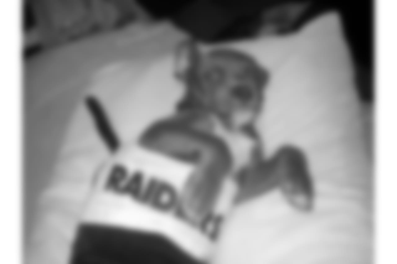 Raider