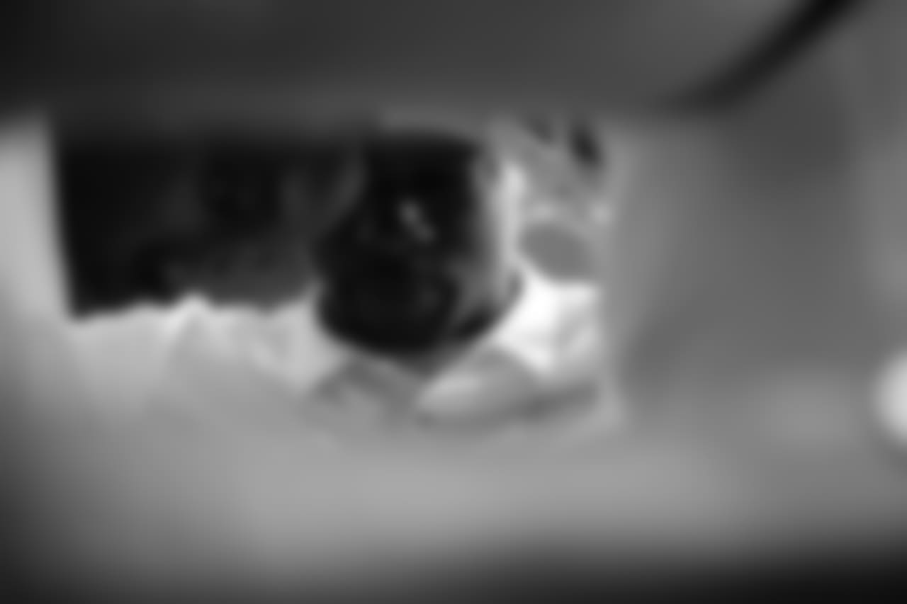 JL7_0958