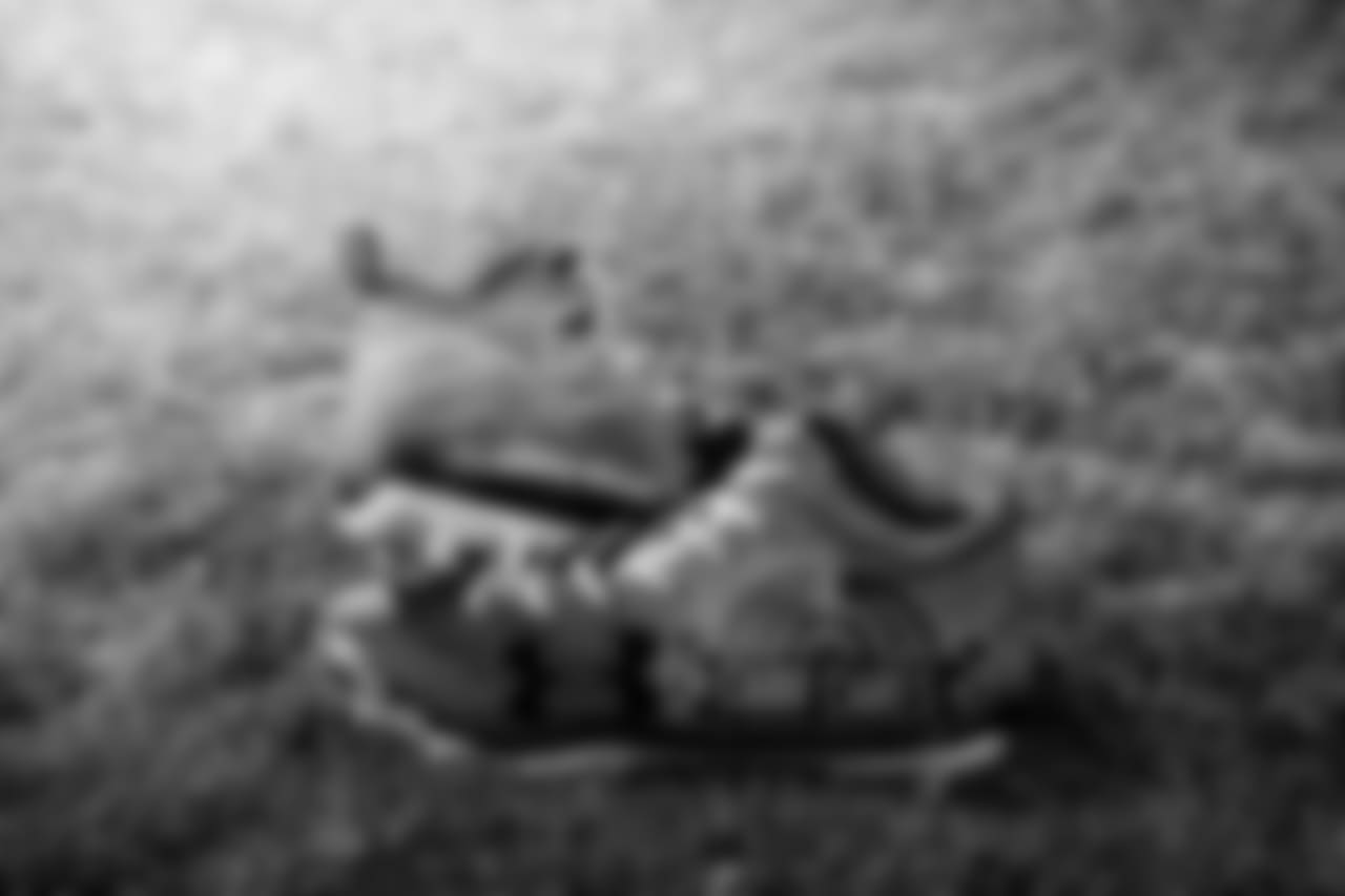 Cleats113017sh049