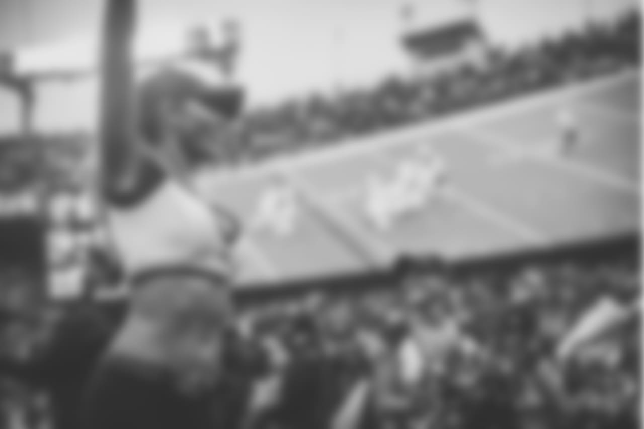 September 9, 2018
Baltimore Ravens vs Buffalo Bills. All day rain.