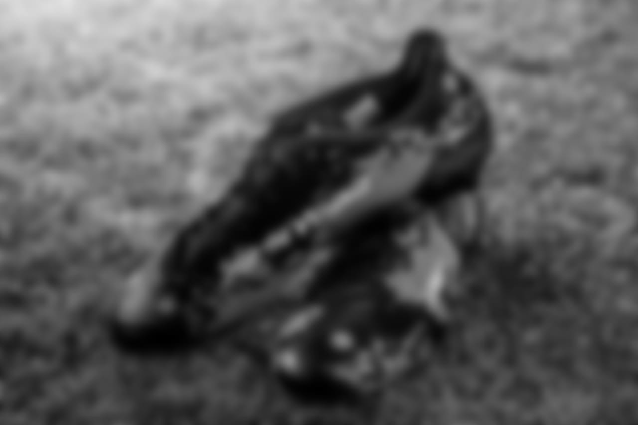 RB Javorius Allen
Cause: Non-violence
