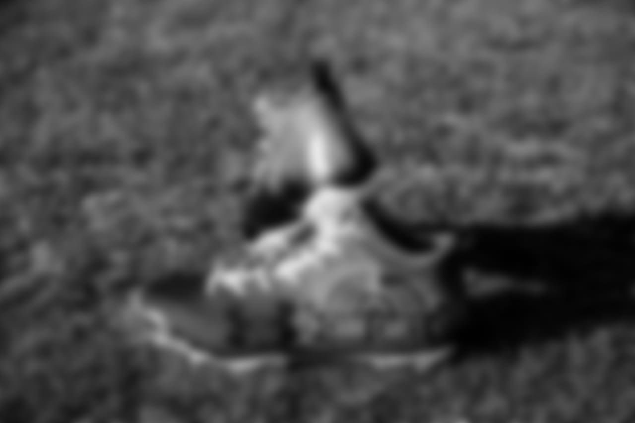 Cleats113017sh053