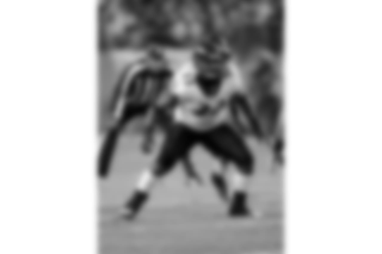 FB Le'Ron McClain (2007)