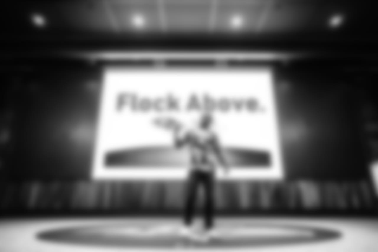 FlockAbovejp0152