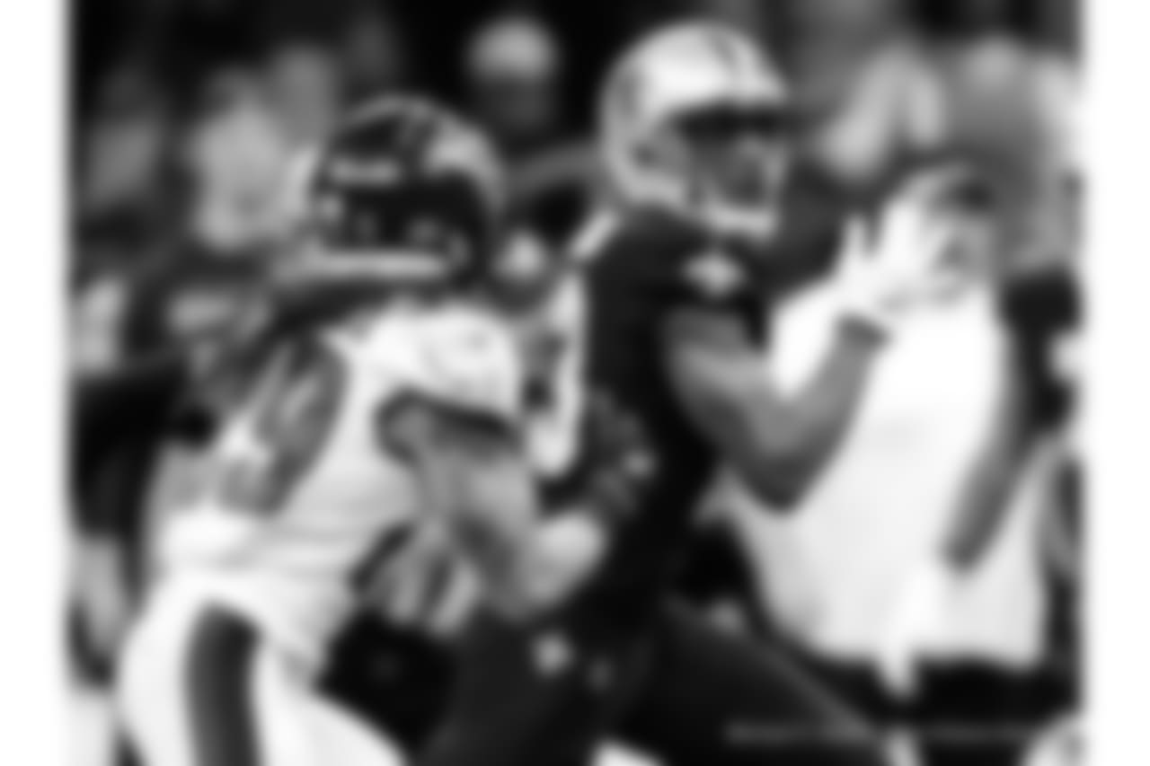 Saints 20 - Eagles 14 (W)
Divisional Game
Michael C. Hebert