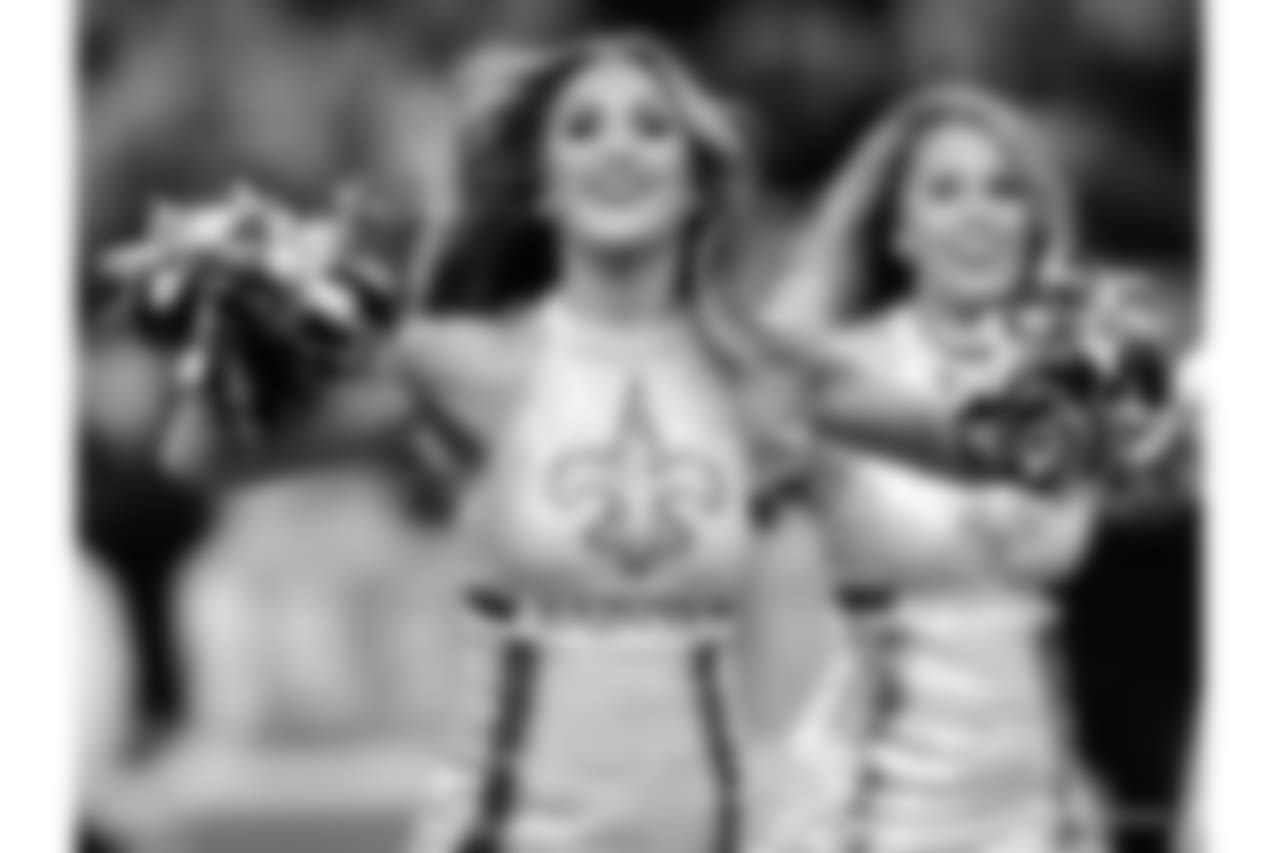 Panthers 33 - Saints 14 (L)
13-3 for the 2018 Season
Number 1 Seed in the NFC
New Orleans Saints 2018 Season
Michael C. Hebert