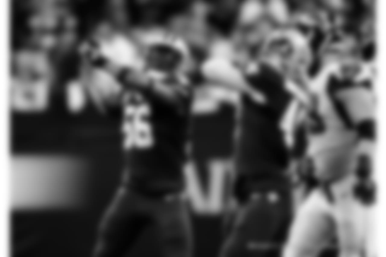 Saints 31- Falcons 17 (W)
New Orleans Saints 2018 Season
Michael C. Hebert