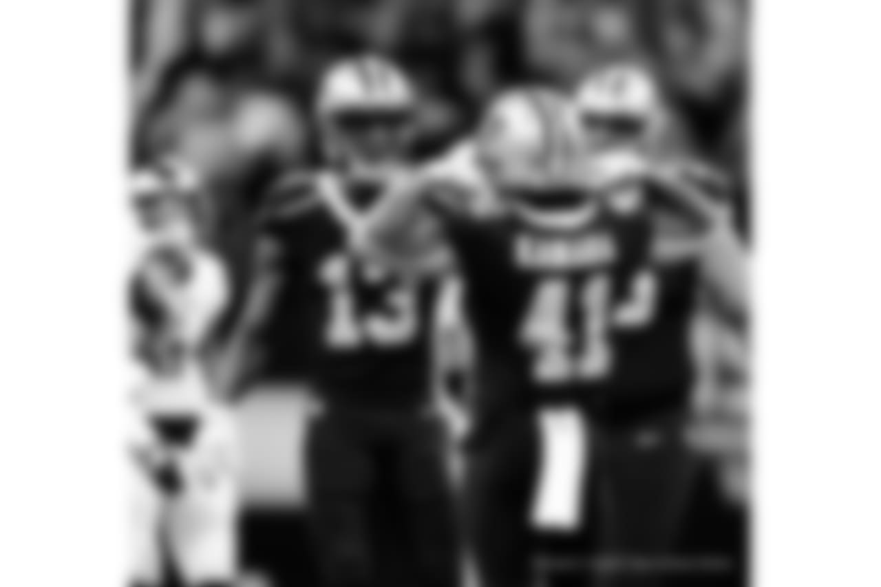 Saints 20 - Eagles 14 (W)
Divisional Game
Michael C. Hebert