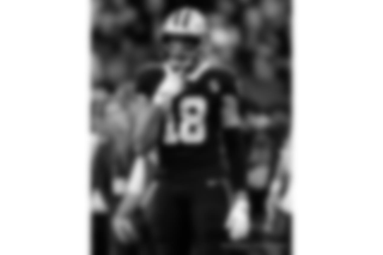 Panthers 33 - Saints 14 (L)
13-3 for the 2018 Season
Number 1 Seed in the NFC
New Orleans Saints 2018 Season
Michael C. Hebert