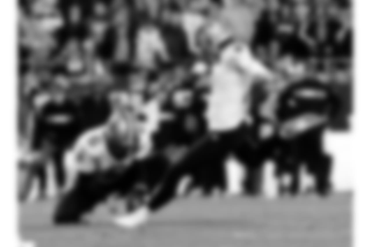 Saints 12 - Carolina 9 (W)
New Orleans Saints 2018 Season
Michael C. Hebert