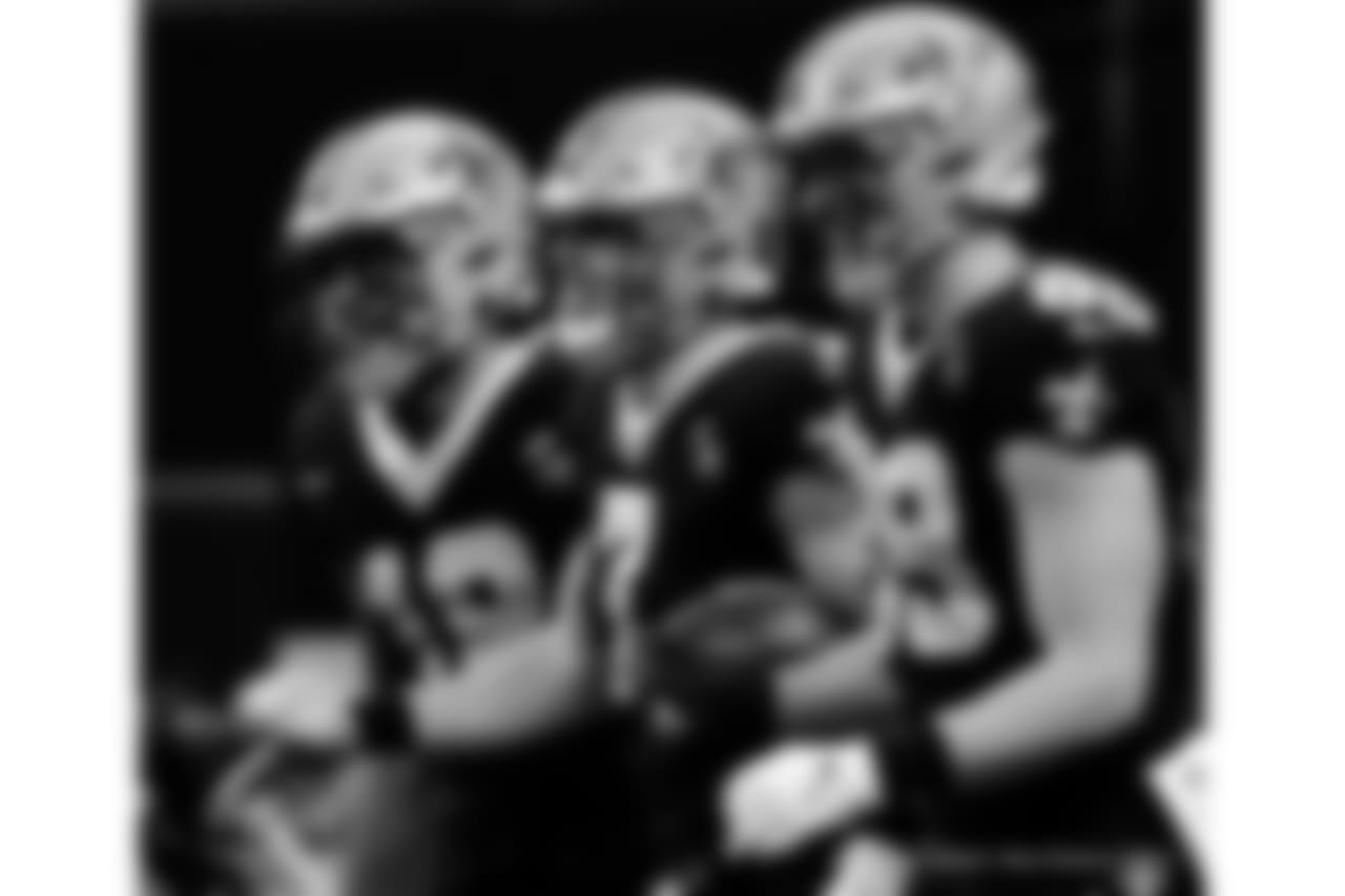 Panthers 33 - Saints 14 (L)
13-3 for the 2018 Season
Number 1 Seed in the NFC
New Orleans Saints 2018 Season
Michael C. Hebert