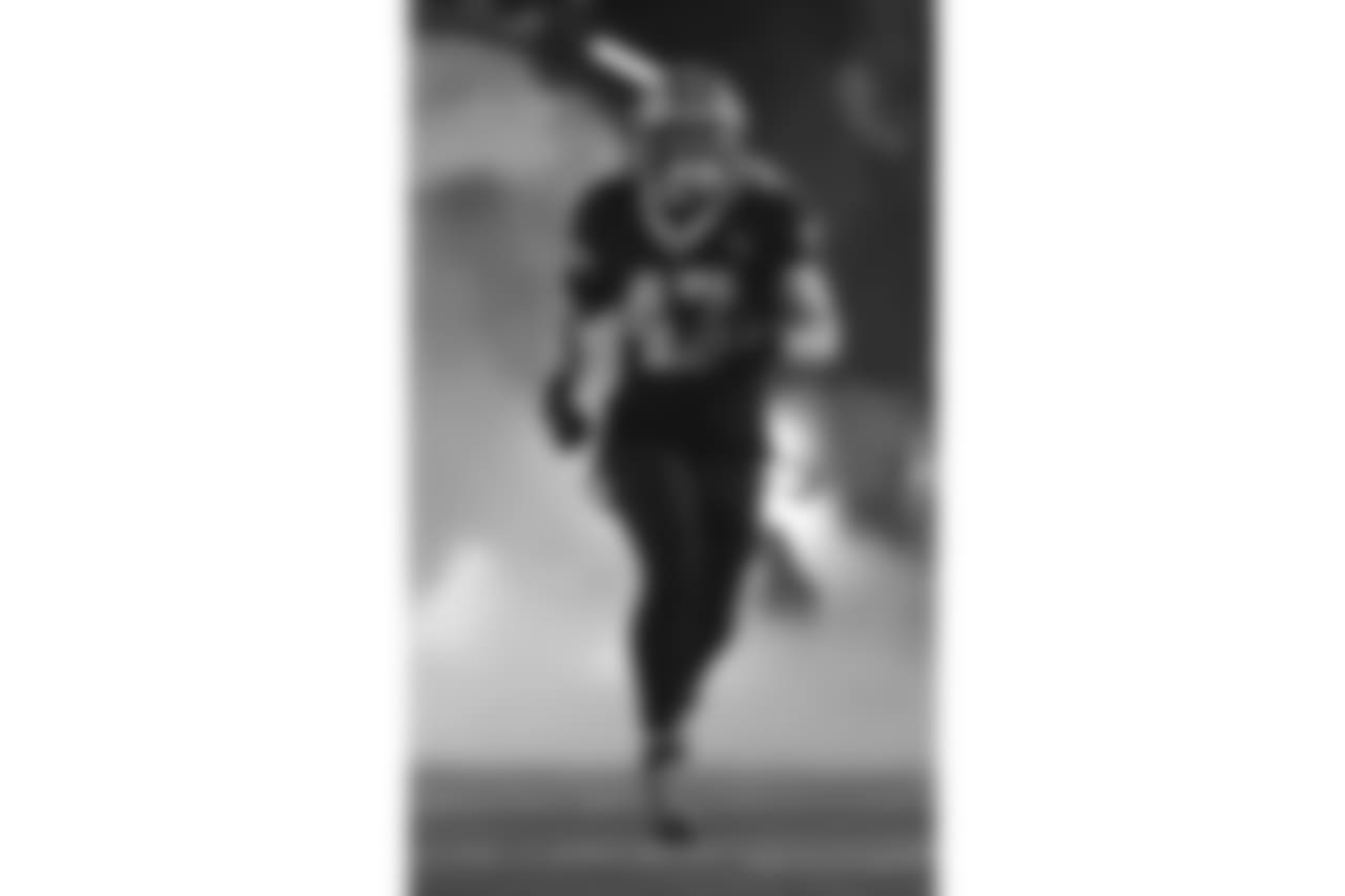 Panthers 33 - Saints 14 (L)
13-3 for the 2018 Season
Number 1 Seed in the NFC
New Orleans Saints 2018 Season
Michael C. Hebert