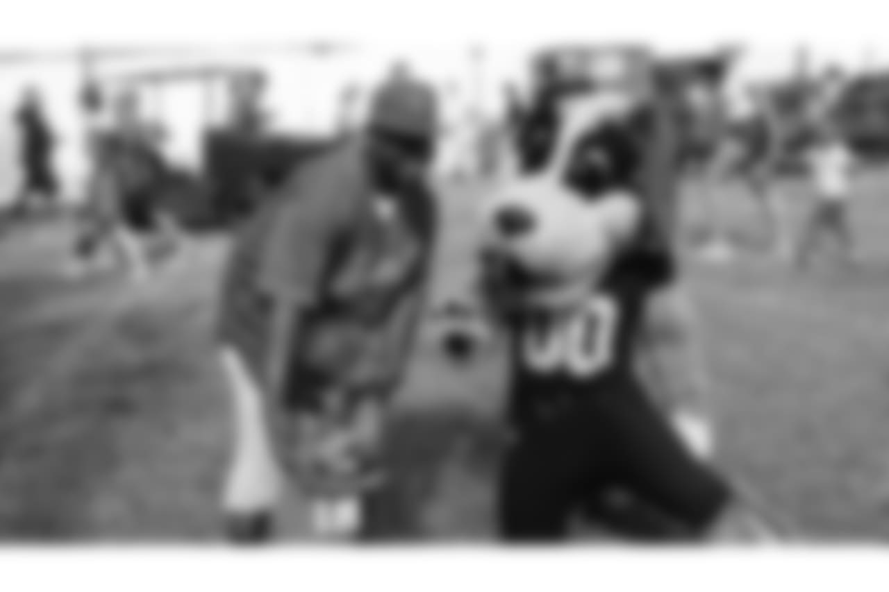 gallery-canes-2560-1440-15