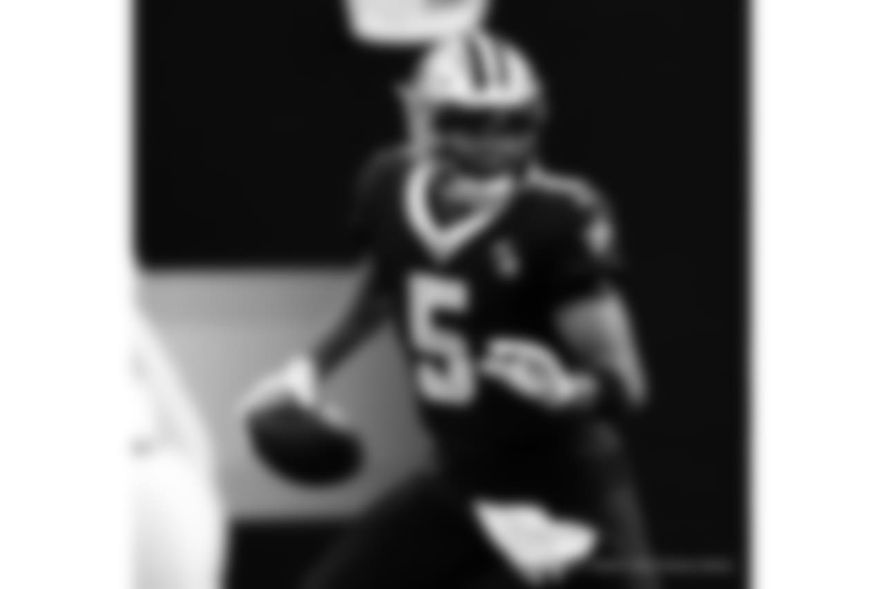 Panthers 33 - Saints 14 (L)
13-3 for the 2018 Season
Number 1 Seed in the NFC
New Orleans Saints 2018 Season
Michael C. Hebert