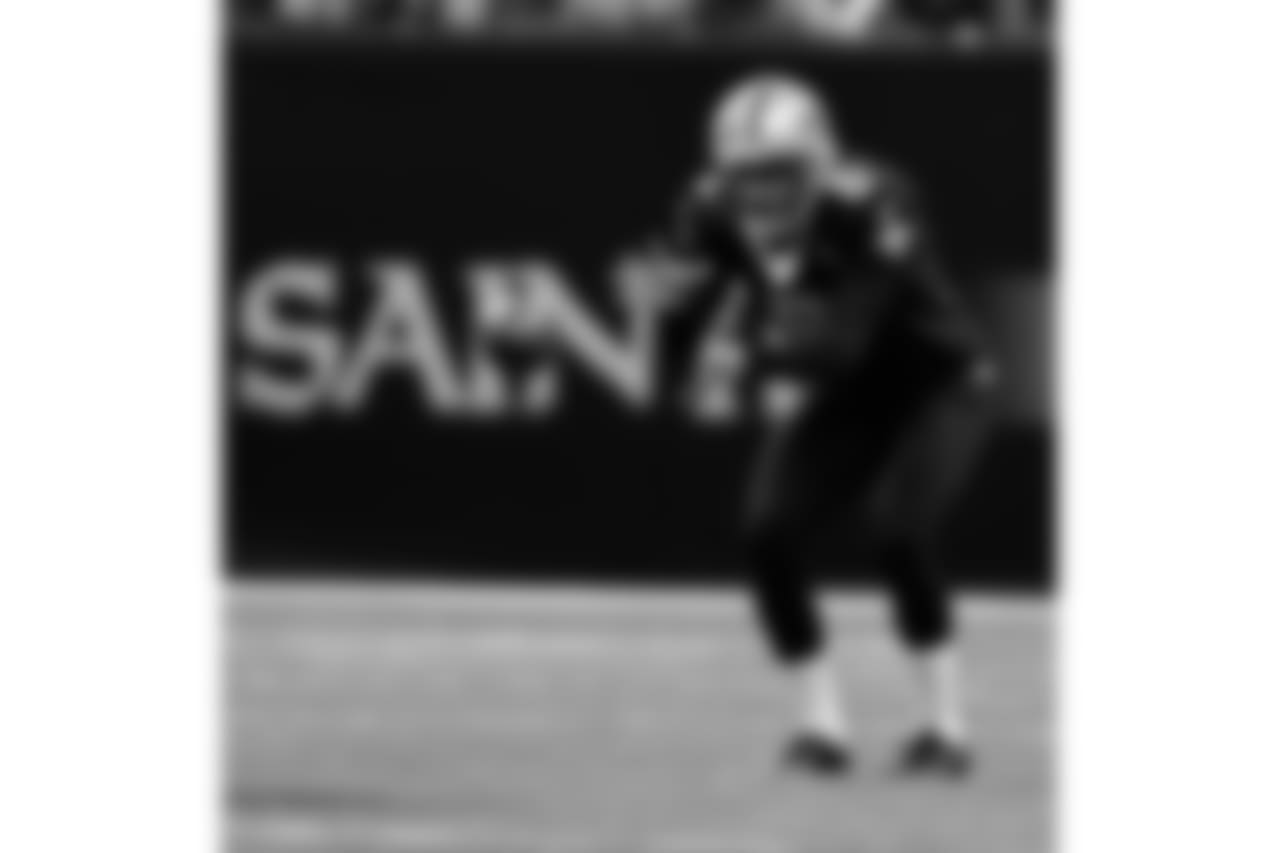 Panthers 33 - Saints 14 (L)
13-3 for the 2018 Season
Number 1 Seed in the NFC
New Orleans Saints 2018 Season
Michael C. Hebert
