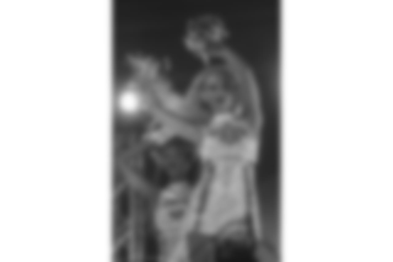Gallery-Fans-2560-1440-0862