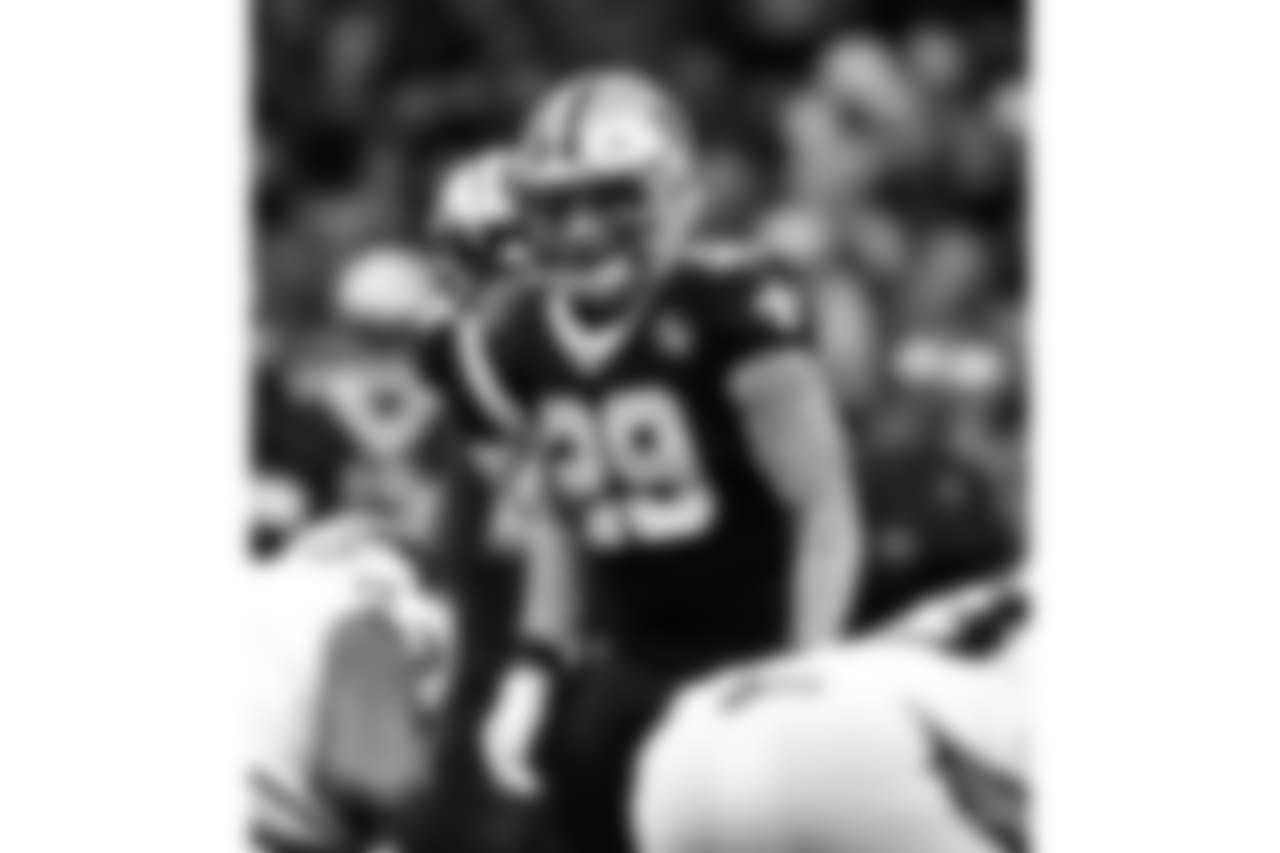 Panthers 33 - Saints 14 (L)
13-3 for the 2018 Season
Number 1 Seed in the NFC
New Orleans Saints 2018 Season
Michael C. Hebert