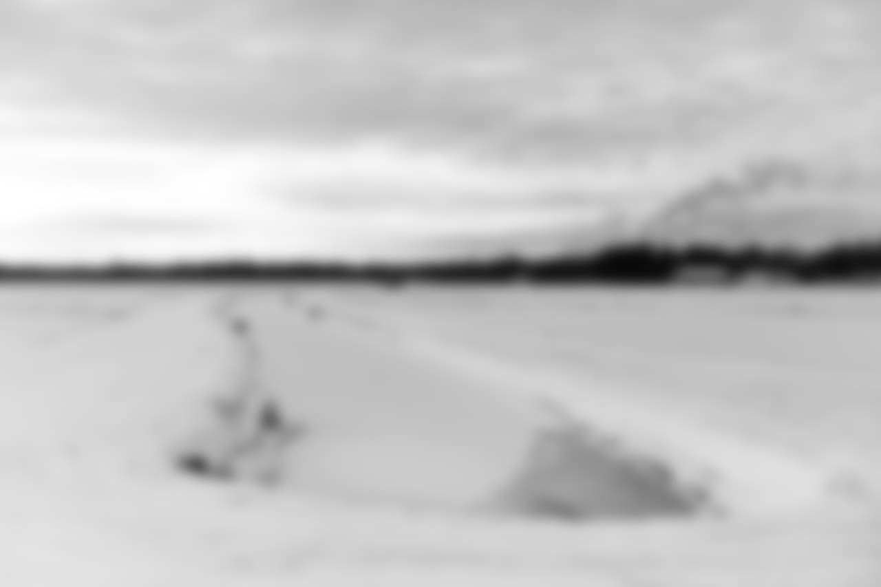 Snow covers the family cranberry farm "Dempze Cranberry Company" in Wisconsin Rapids, Wisconsin