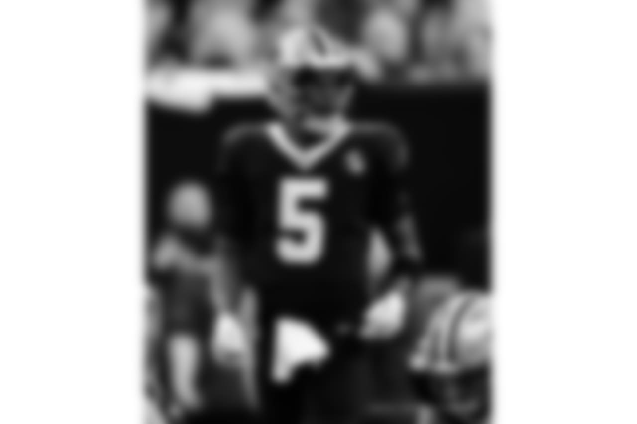 Panthers 33 - Saints 14 (L)
13-3 for the 2018 Season
Number 1 Seed in the NFC
New Orleans Saints 2018 Season
Michael C. Hebert