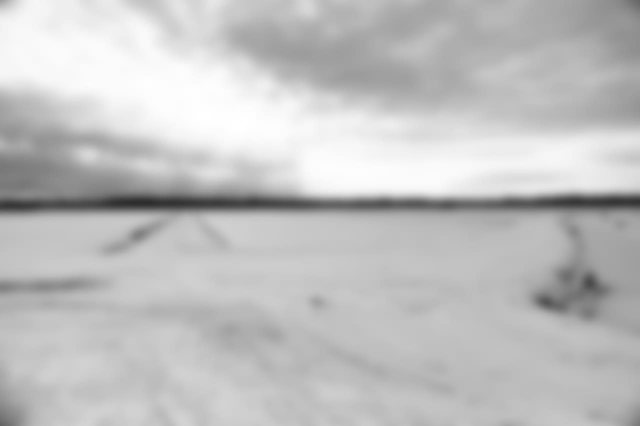 Snow covers the family cranberry farm "Dempze Cranberry Company" in Wisconsin Rapids, Wisconsin