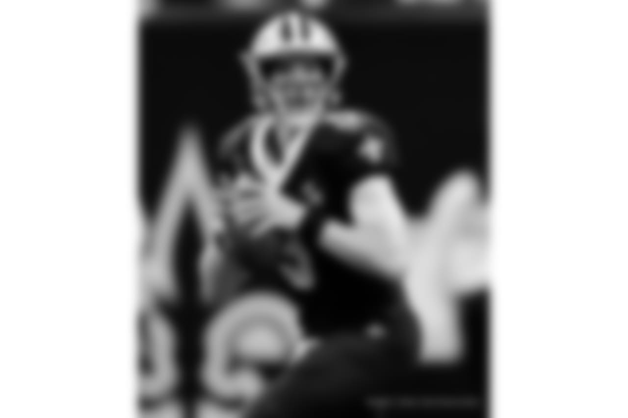 Saints 20 - Eagles 14 (W)
Divisional Game
Michael C. Hebert