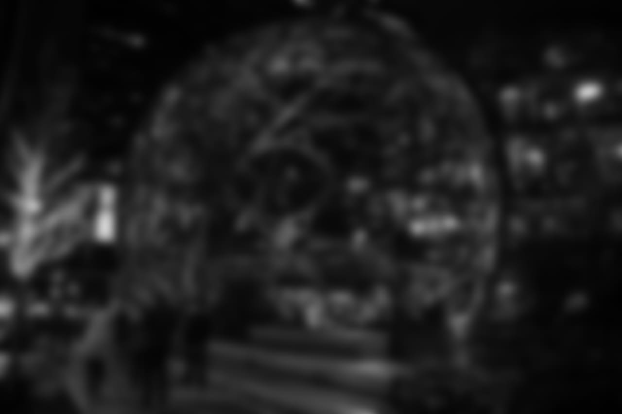 20181103_PAULALLEN_JANEGPHOTO-23