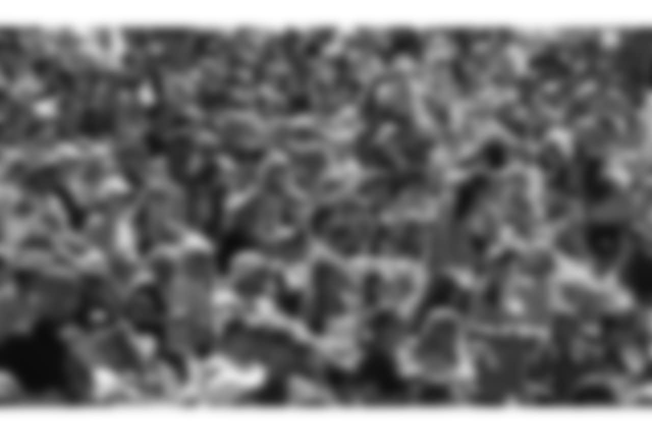 cstf_AM4I8210