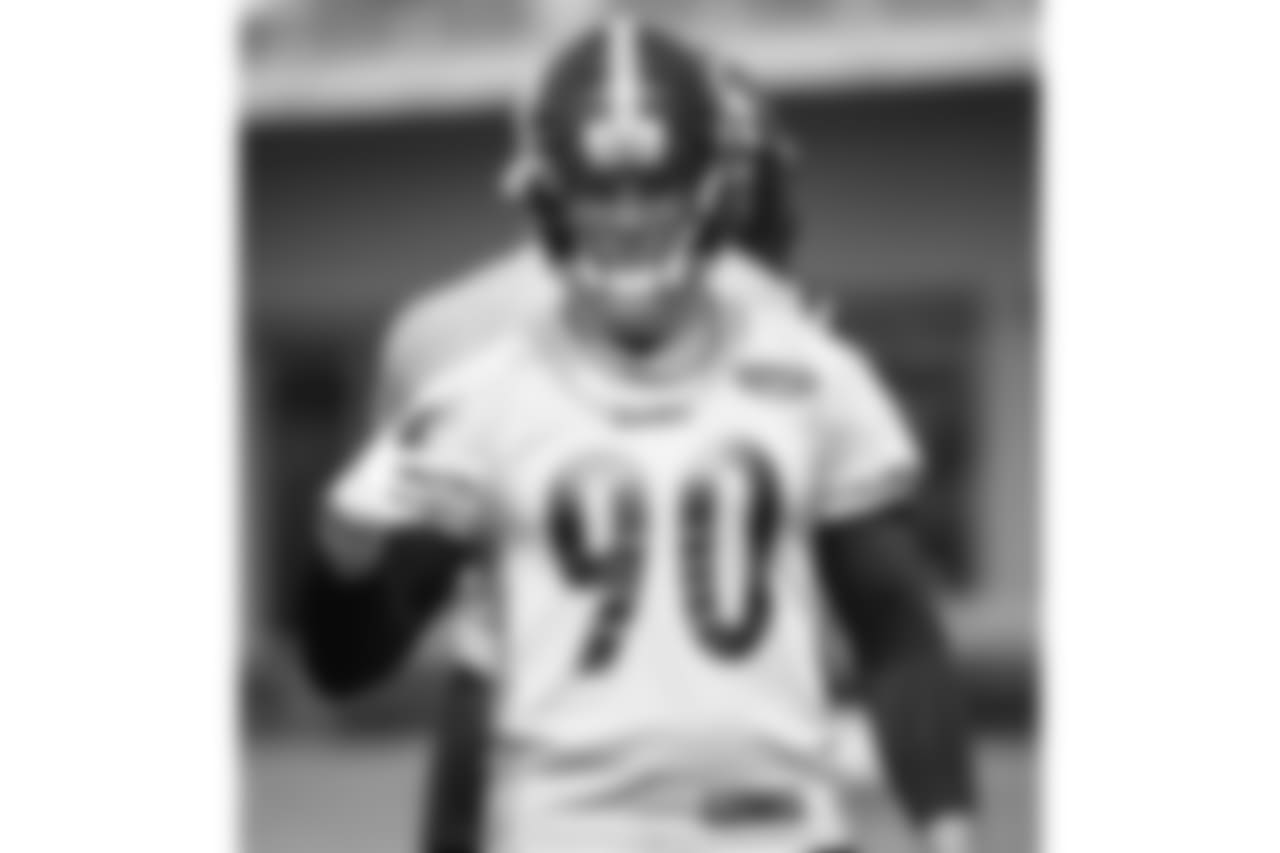 T.J. Watt