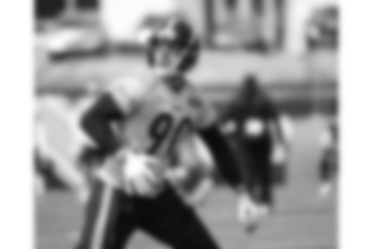 T.J. Watt