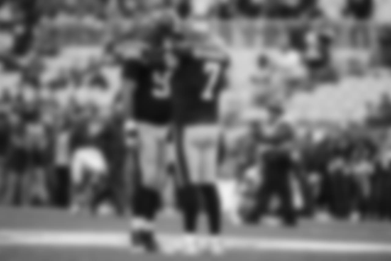 A 2018 Regular Season game between the Pittsburgh Steelers and the Cleveland Browns on October 28, 2018. The Steelers defeated the Browns 33-18.