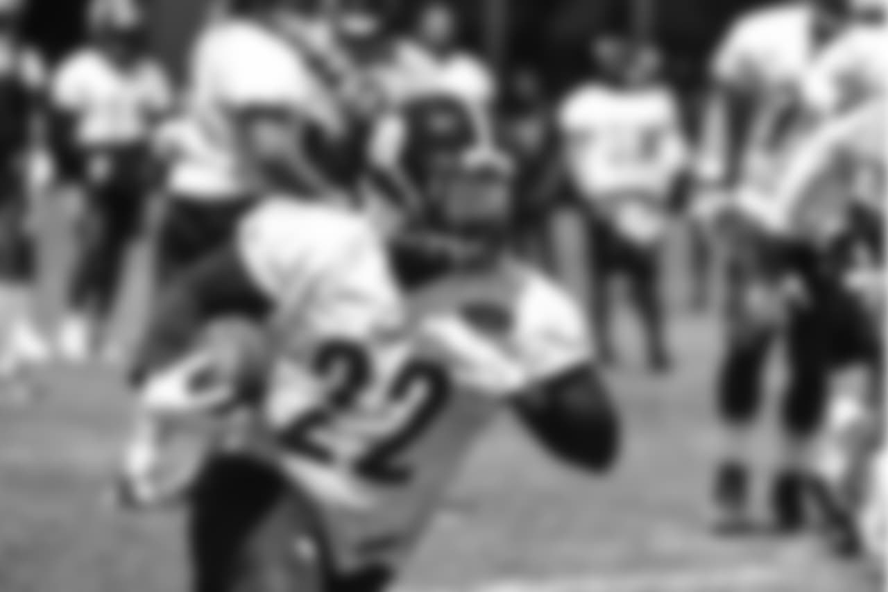 Stevan Ridley