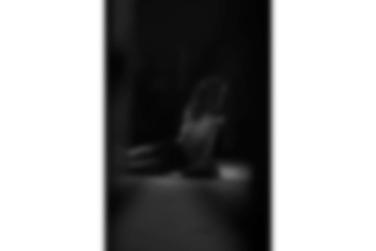 ZT2_9735