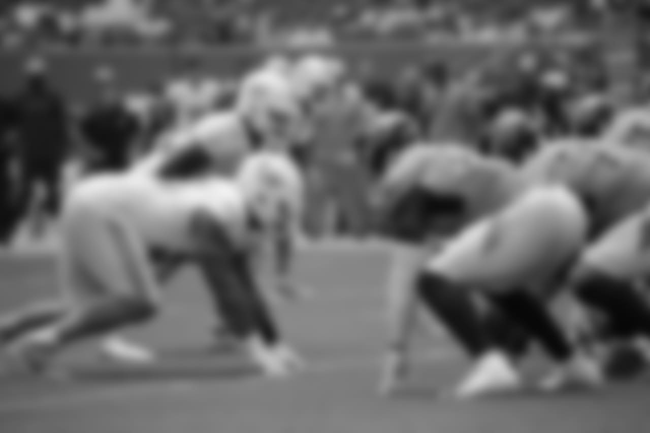 best2018dolphins147373
