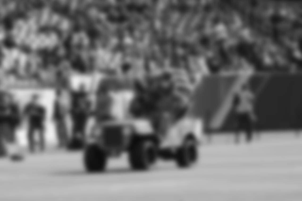 pre2018patriots460193