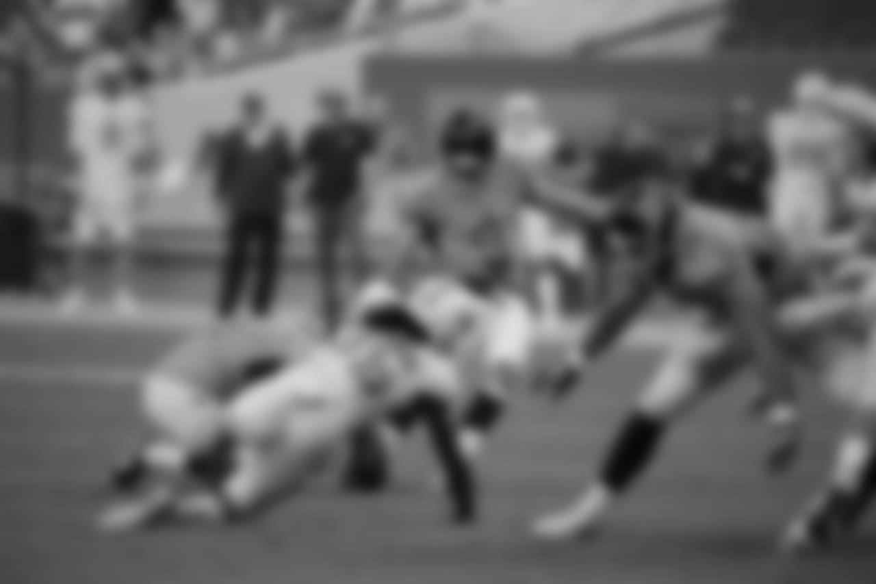 best2018dolphins247402