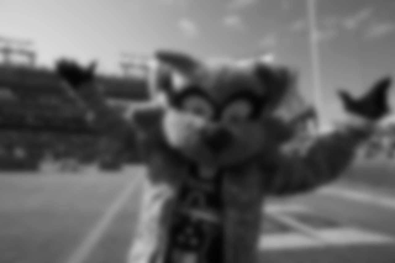 pre2018patriots460182